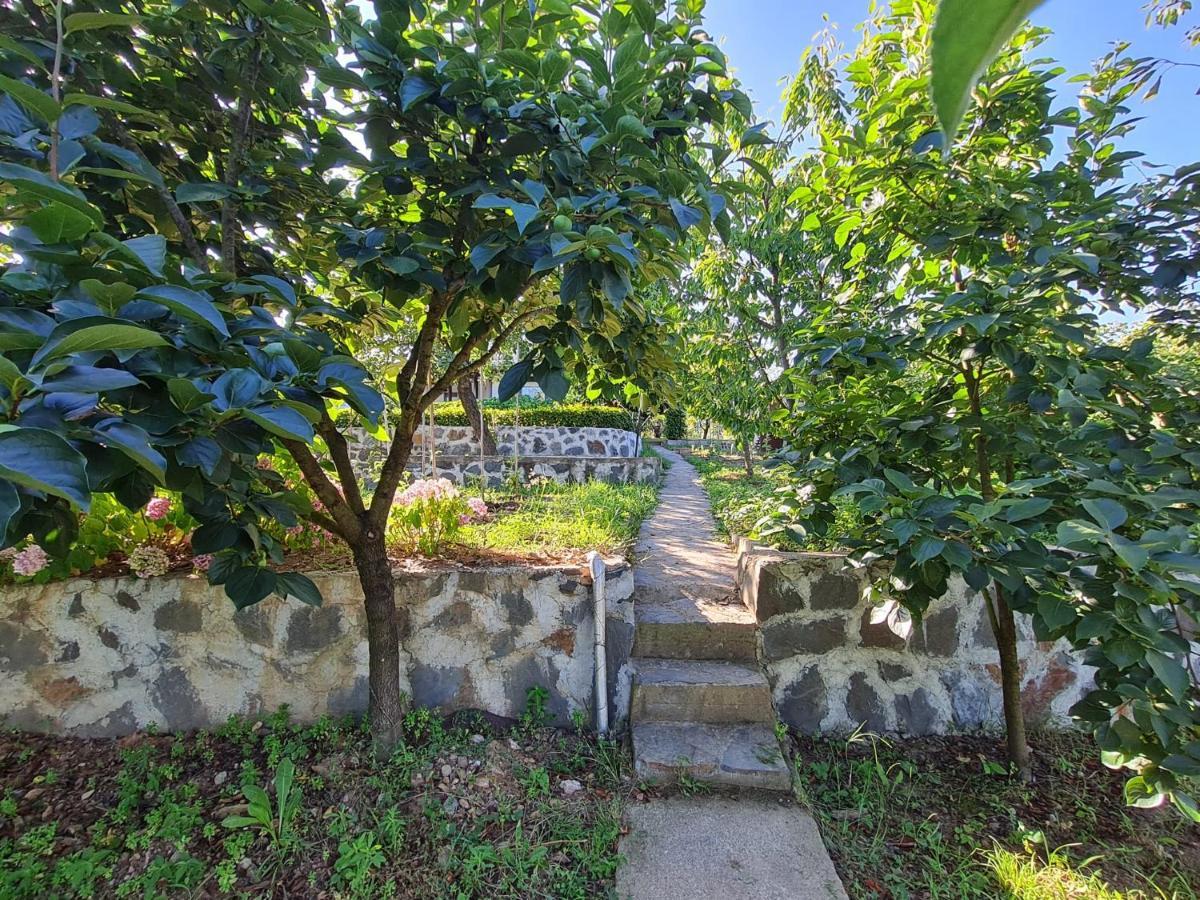 Villa Bizim Ev Sapanca Exterior foto